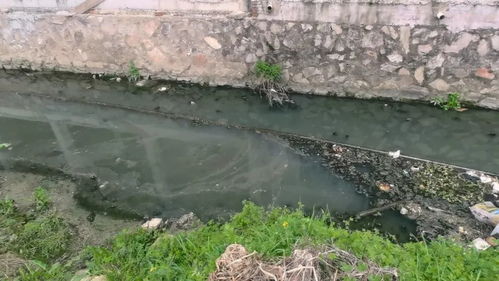 江西城市生活污水處理 頑疾為何久拖不治？